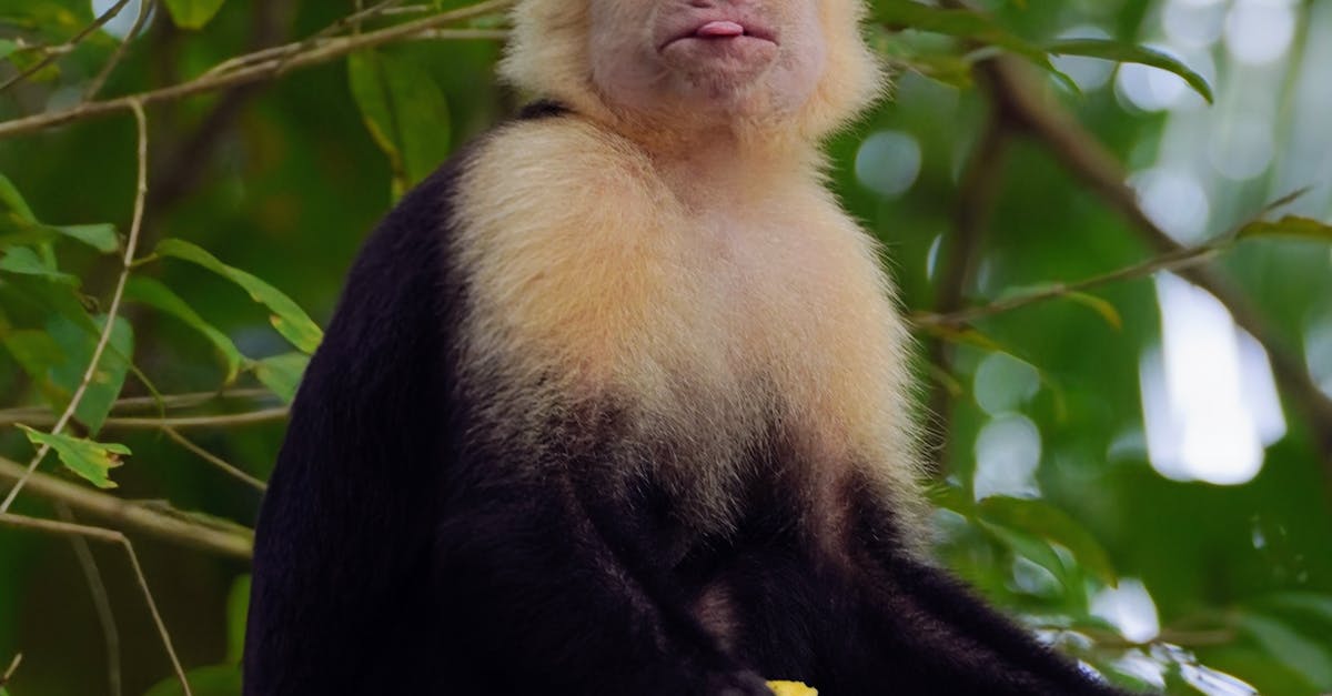 Assessing the Cost-Effectiveness of Drainage Solutions for Enterprises