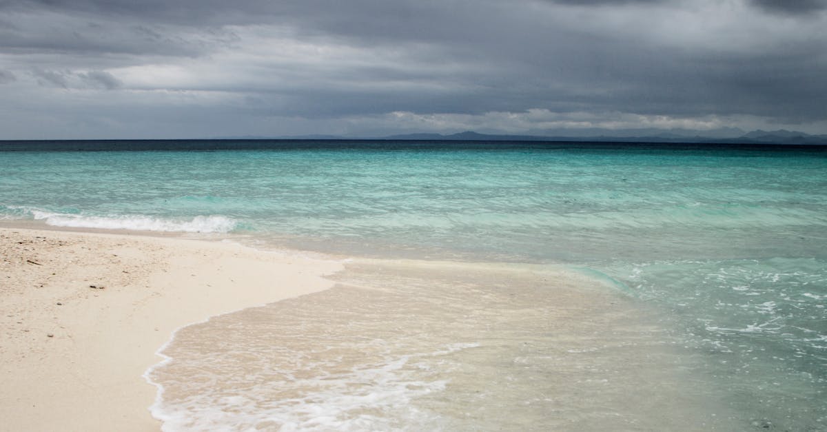 Best Practices for Installing Business Drainage Systems