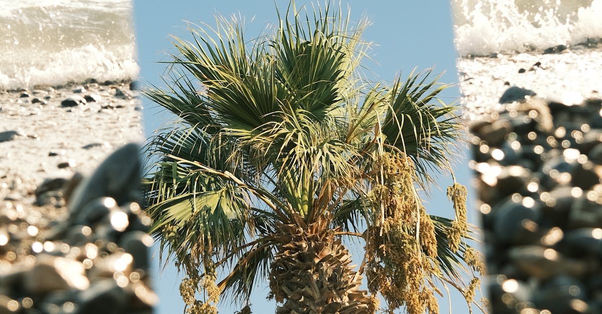 Common Plumbing Issues to Address During a Bathroom Renovation