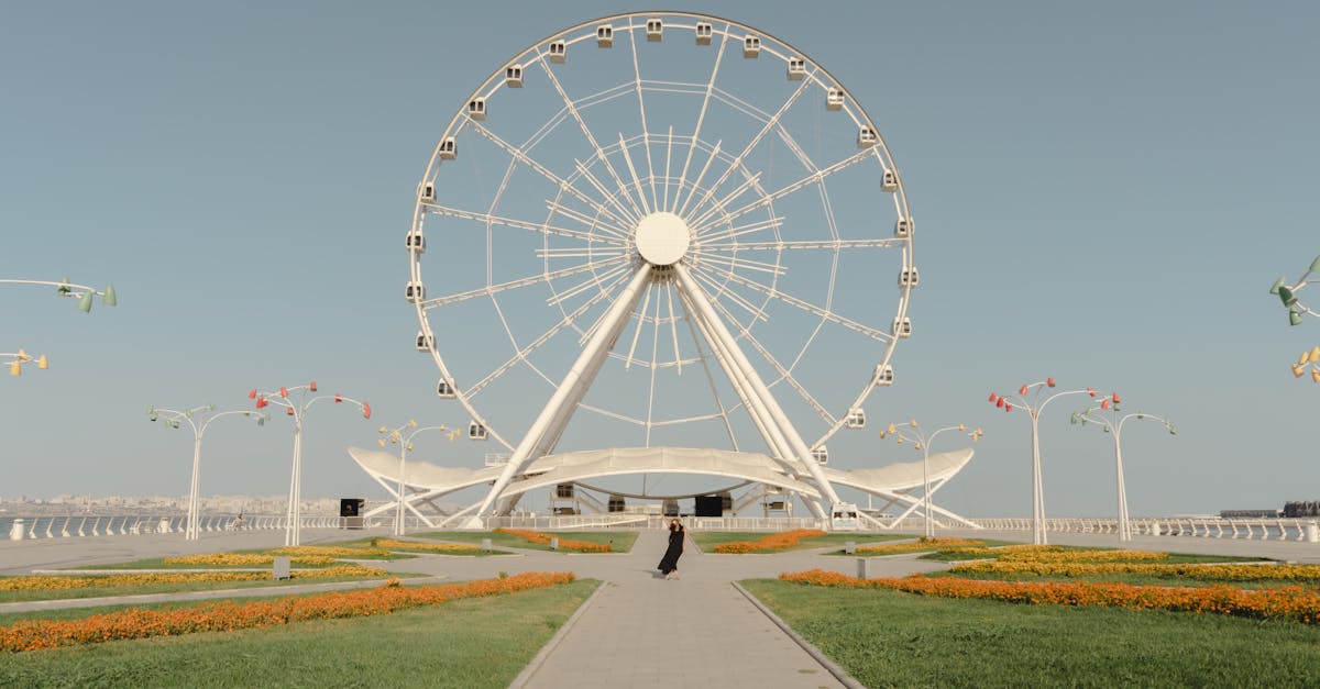 Common Problems with Electric Hot Water Systems and Solutions