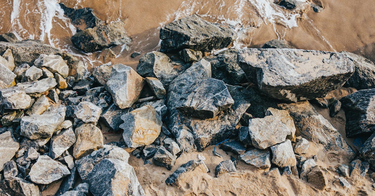 DIY Solutions for Minor Blocked Drain Issues