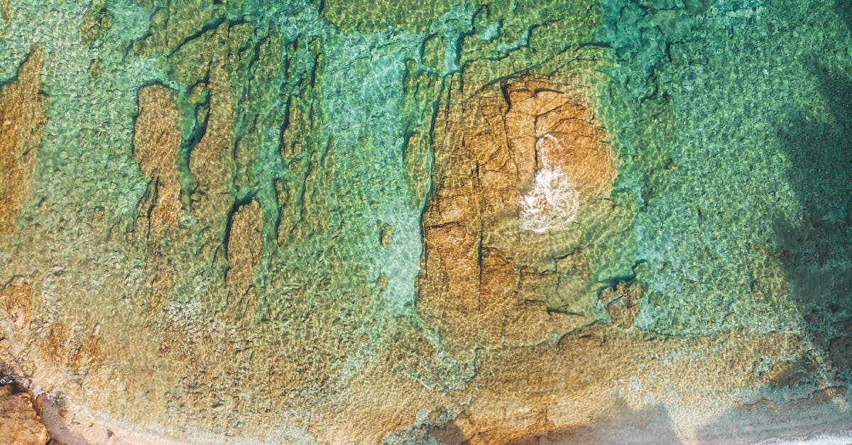 Emergency Plumbing Tools You Should Have for Burst Pipe Issues