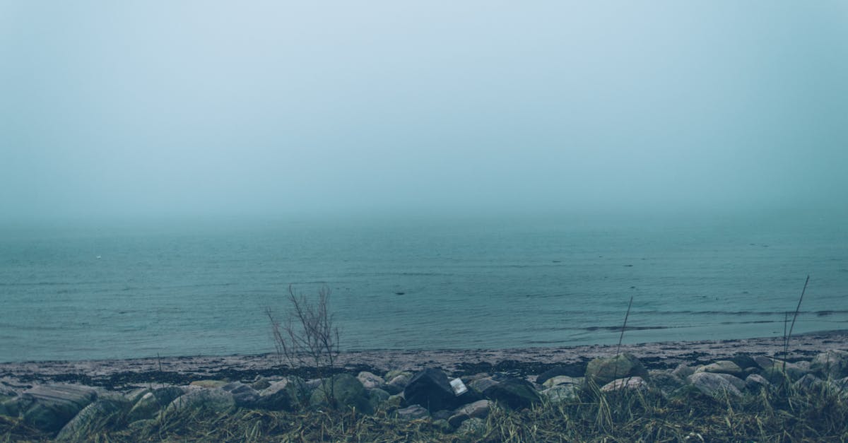 Essential Tools for Managing Toilet Overflows