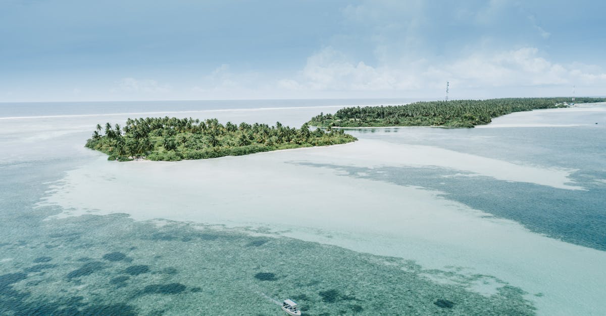 How Plumbing Maintenance Contracts Can Enhance Property Value