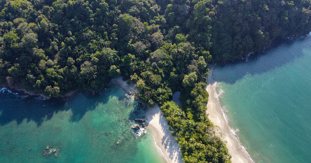 How to Choose the Right Leak Detection Services