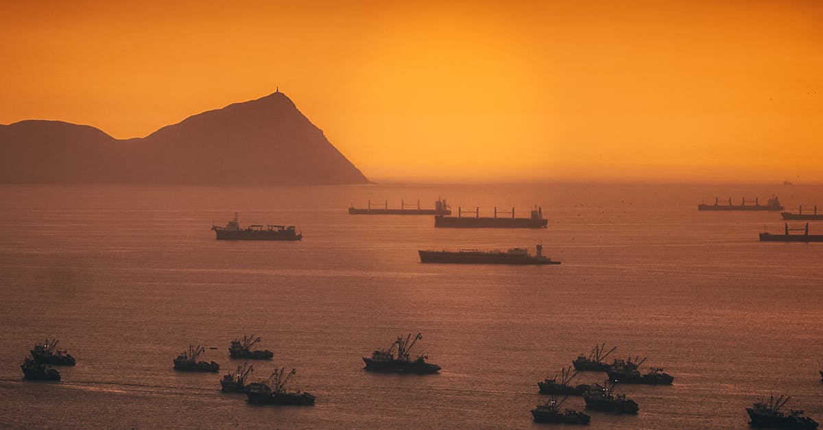 Innovative Drainage Solutions for Local Businesses