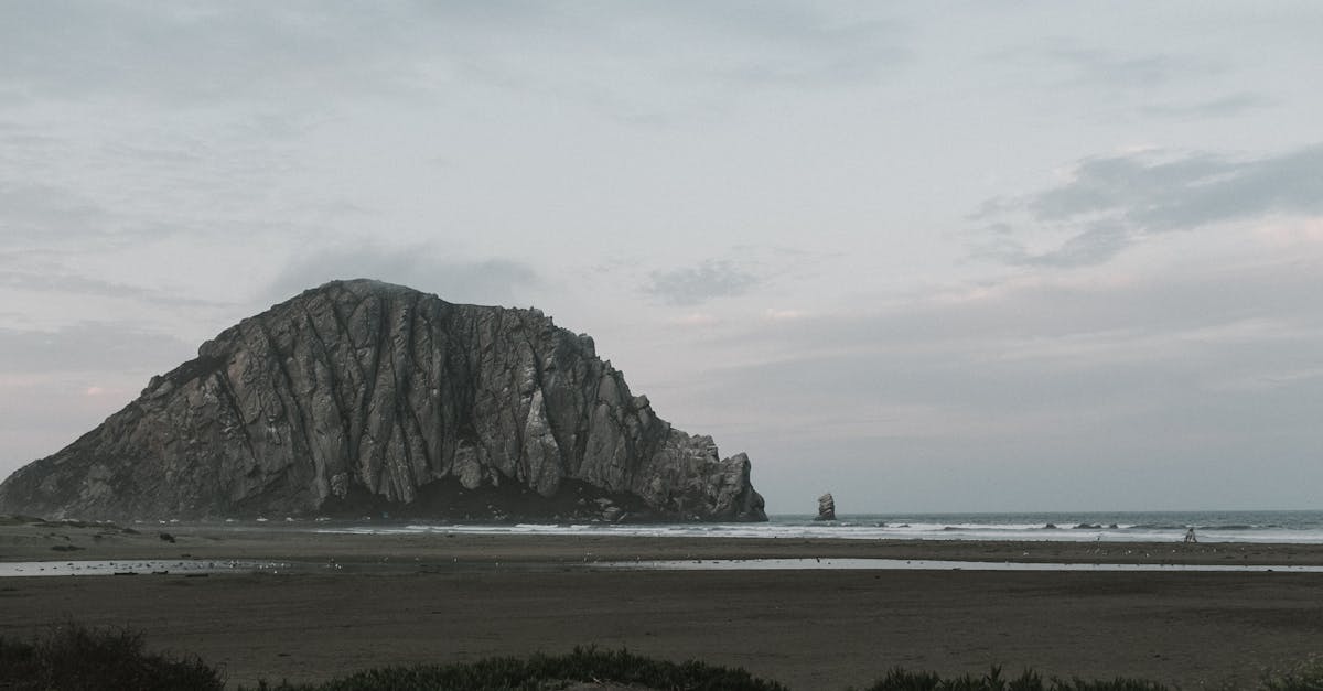 Maintenance Tips for Long-Lasting Commercial Hot Water Systems