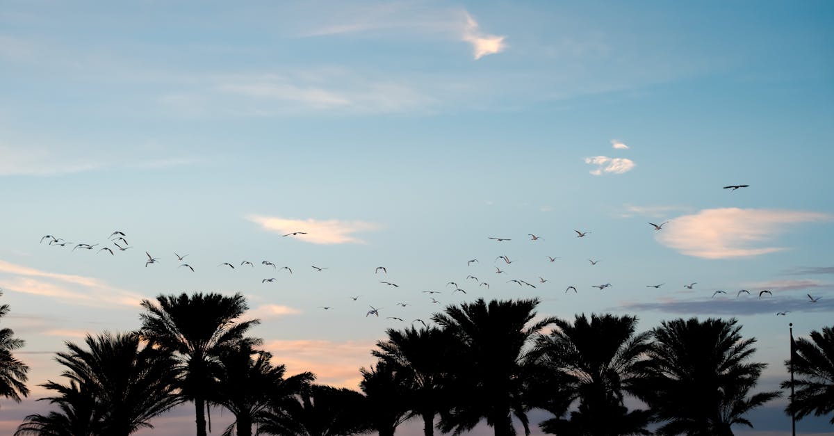 Maximising Space: Tips for Small Bathroom Renovations