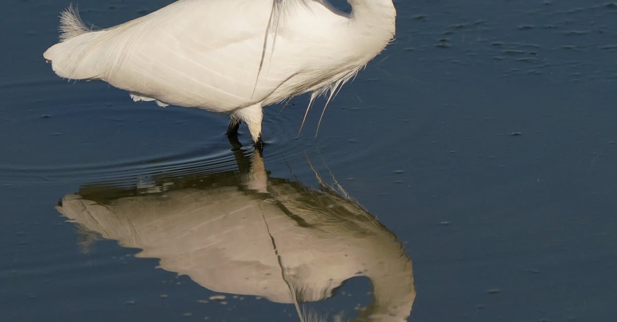 Preventative Plumbing Maintenance: A Smart Investment for Businesses