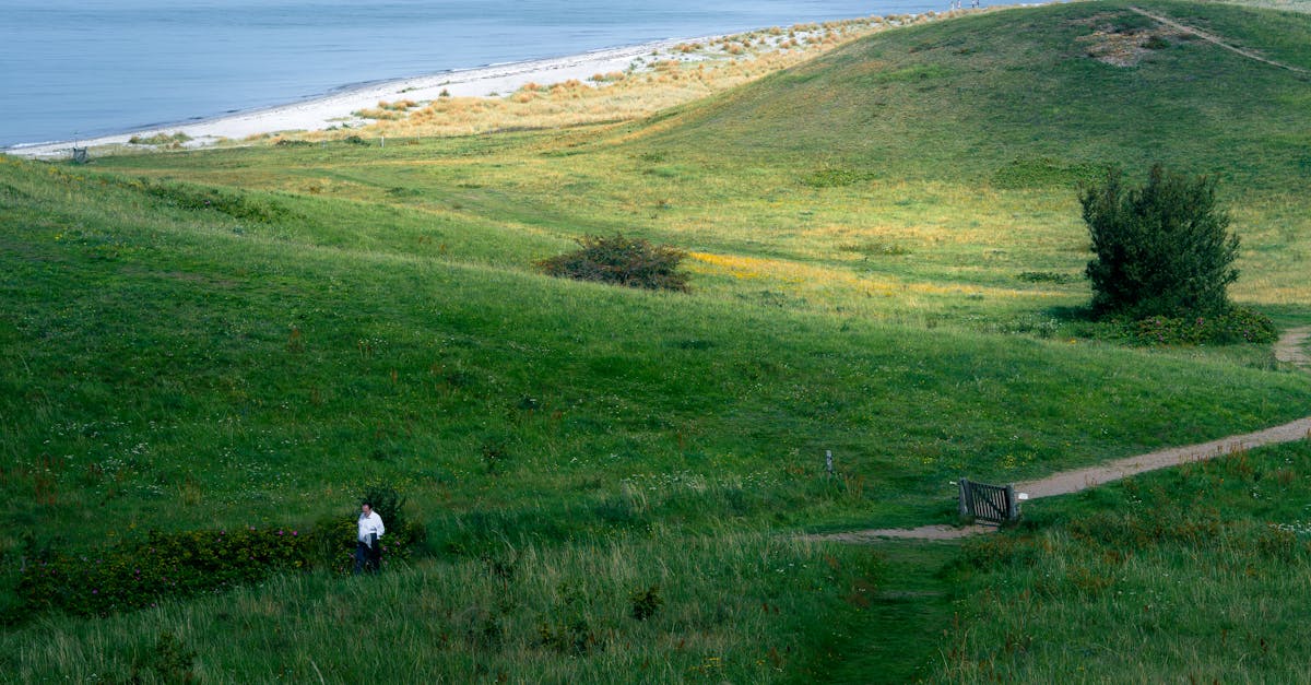 Quick Fixes for Sudden Hot Water System Failures