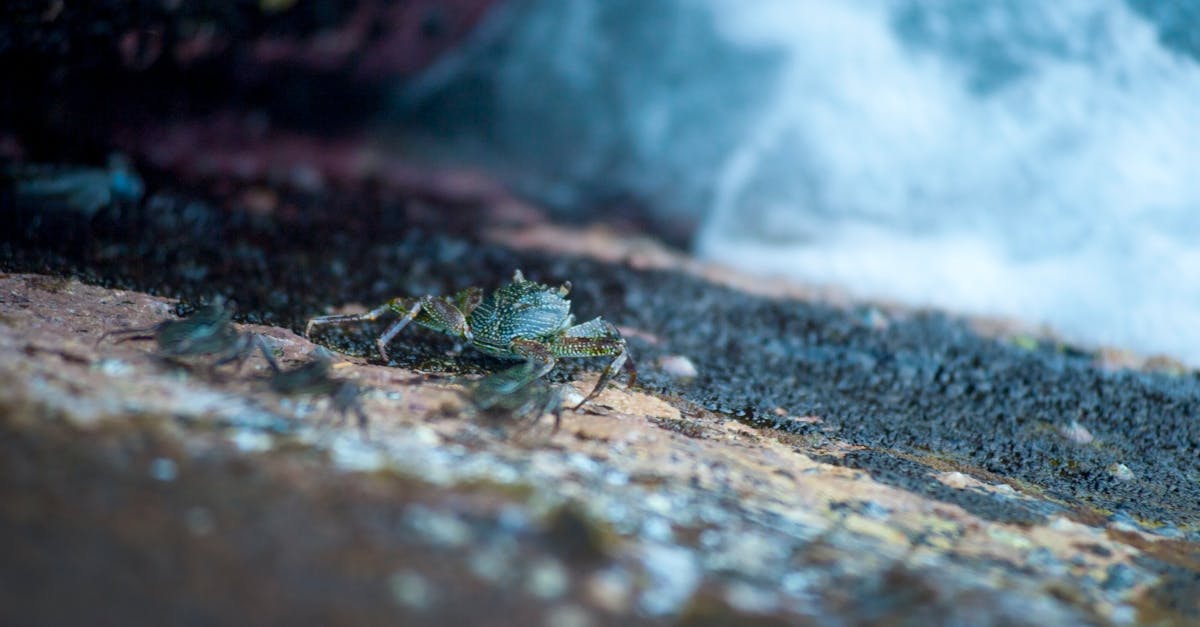 The Benefits of Upgrading Your Kitchen Faucet