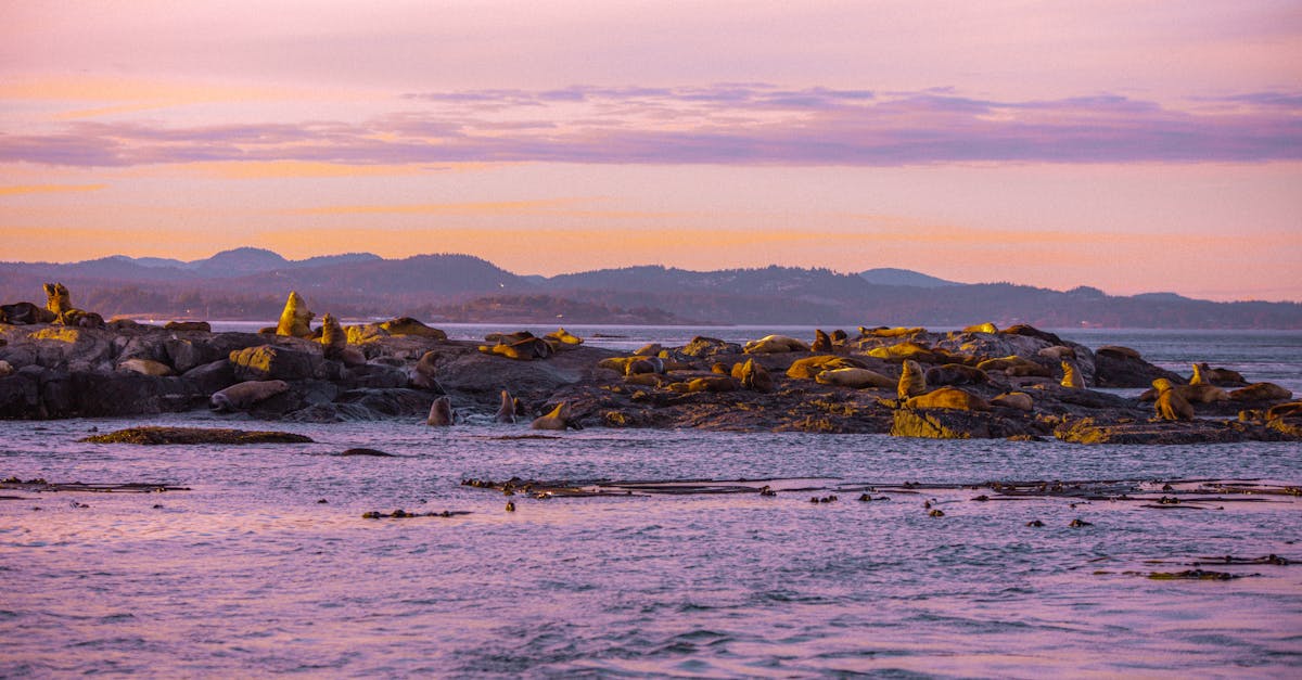 The Costs Involved in Professional Leak Detection