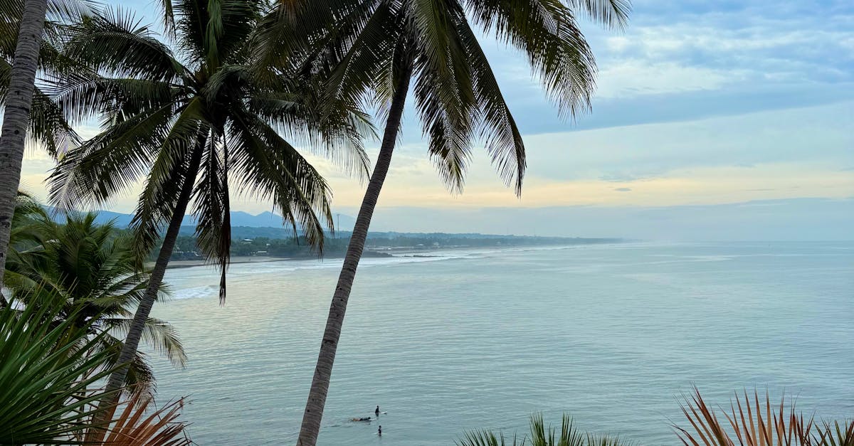 The Role of Washers in Preventing Tap Leaks